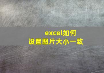 excel如何设置图片大小一致