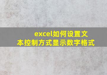 excel如何设置文本控制方式显示数字格式