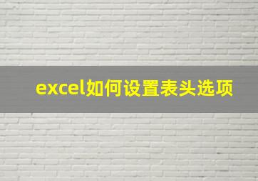 excel如何设置表头选项