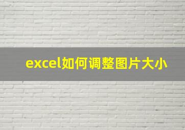 excel如何调整图片大小