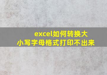 excel如何转换大小写字母格式打印不出来