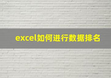 excel如何进行数据排名