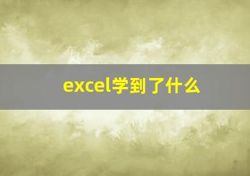 excel学到了什么