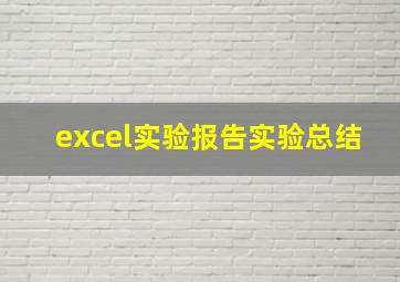 excel实验报告实验总结