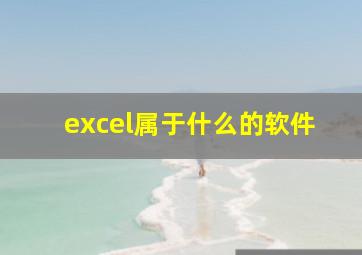 excel属于什么的软件