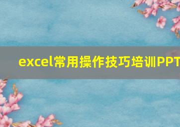 excel常用操作技巧培训PPT