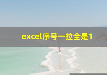 excel序号一拉全是1