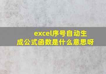 excel序号自动生成公式函数是什么意思呀