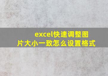 excel快速调整图片大小一致怎么设置格式