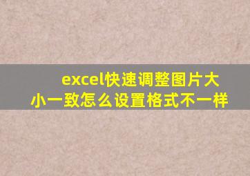 excel快速调整图片大小一致怎么设置格式不一样