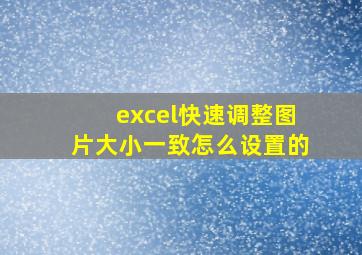 excel快速调整图片大小一致怎么设置的