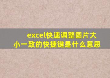 excel快速调整图片大小一致的快捷键是什么意思