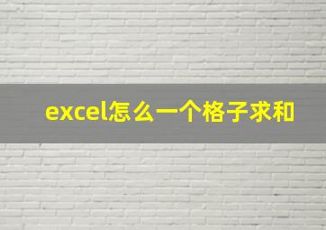 excel怎么一个格子求和