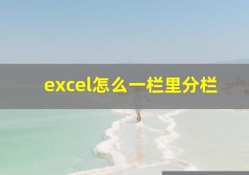 excel怎么一栏里分栏