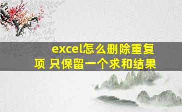 excel怎么删除重复项 只保留一个求和结果