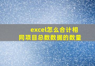 excel怎么合计相同项目总数数据的数量