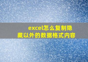 excel怎么复制隐藏以外的数据格式内容