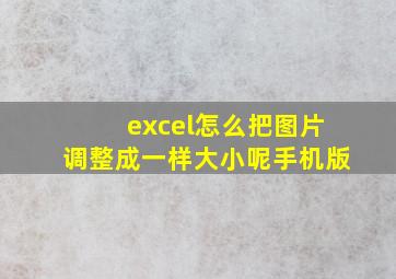 excel怎么把图片调整成一样大小呢手机版