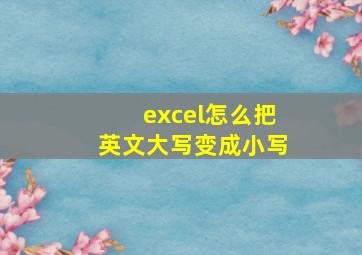 excel怎么把英文大写变成小写