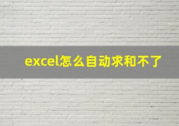 excel怎么自动求和不了