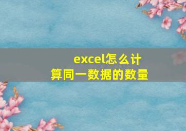 excel怎么计算同一数据的数量