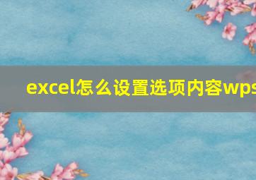 excel怎么设置选项内容wps