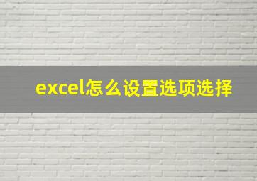 excel怎么设置选项选择