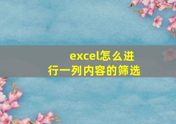 excel怎么进行一列内容的筛选