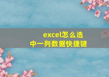 excel怎么选中一列数据快捷键