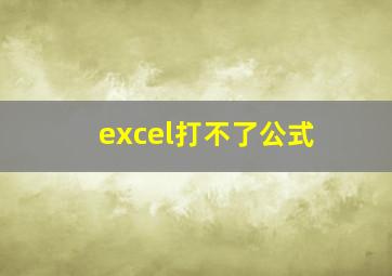 excel打不了公式