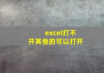 excel打不开其他的可以打开