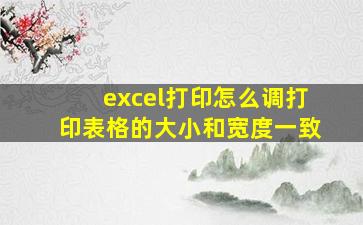 excel打印怎么调打印表格的大小和宽度一致