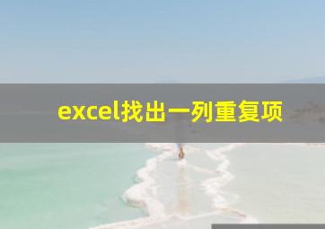 excel找出一列重复项