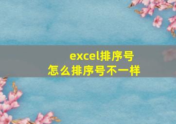 excel排序号怎么排序号不一样