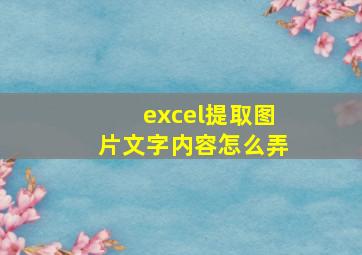 excel提取图片文字内容怎么弄