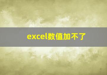 excel数值加不了