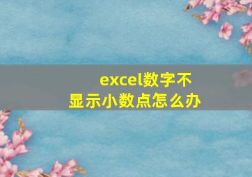 excel数字不显示小数点怎么办