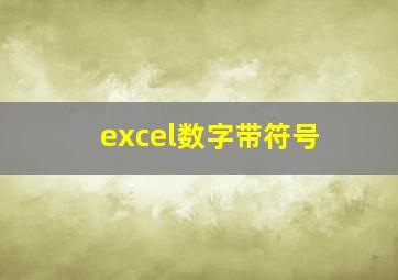 excel数字带符号