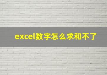 excel数字怎么求和不了