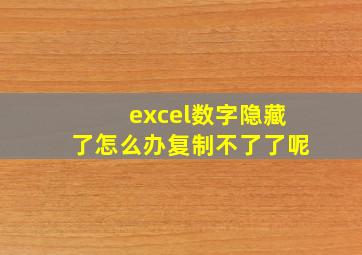 excel数字隐藏了怎么办复制不了了呢