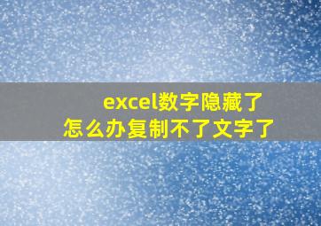 excel数字隐藏了怎么办复制不了文字了