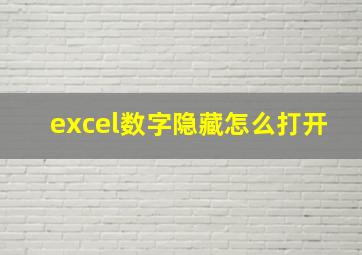 excel数字隐藏怎么打开