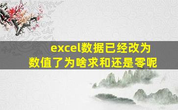 excel数据已经改为数值了为啥求和还是零呢