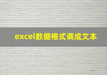 excel数据格式调成文本