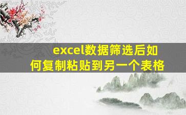 excel数据筛选后如何复制粘贴到另一个表格