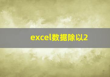 excel数据除以2