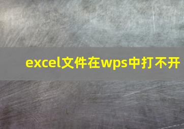 excel文件在wps中打不开