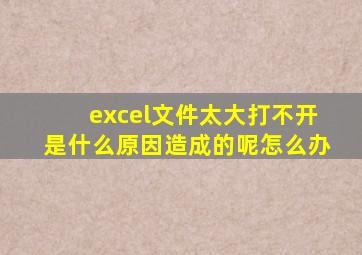 excel文件太大打不开是什么原因造成的呢怎么办