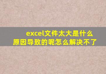 excel文件太大是什么原因导致的呢怎么解决不了