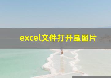 excel文件打开是图片